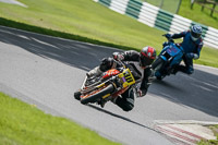 cadwell-no-limits-trackday;cadwell-park;cadwell-park-photographs;cadwell-trackday-photographs;enduro-digital-images;event-digital-images;eventdigitalimages;no-limits-trackdays;peter-wileman-photography;racing-digital-images;trackday-digital-images;trackday-photos